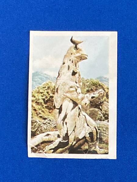 エレキング 怪獣図鑑 カード 307 ウルトラセブン ウルトラマン 昭和レトロ 送料無料