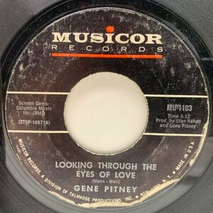 USオリジナル 7インチ GENE PITNEY Looking Through The Eyes Of Love ('65 Musicor) ジーン・ピットニー 45RPM.