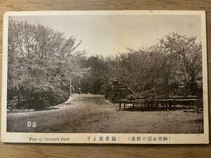 PP-6841 ■送料無料■ 北海道 函館市 函館公園 図書館より 人 風景 景色 公園 庭園 絵葉書 写真 古写真/くNAら