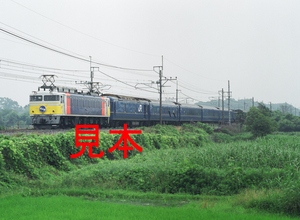 鉄道写真、645ネガデータ、160057820003、EF81-79＋北斗星、JR東北本線、蓮田〜東大宮、2010.06.27、（4548×3331）