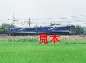 鉄道写真、645ネガデータ、160166040001、EF510-508＋EF510-507（重連単機試運転）、JR東北本線、東大宮〜蓮田、2010.07.04、（4451×3259