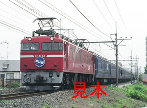 鉄道写真、645ネガデータ、160166040003、EF81-88＋北斗星、JR東北本線、蓮田〜東大宮、2010.07.06、（4591×3362）