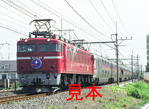 鉄道写真、645ネガデータ、160166040009、EF81-98＋カシオペア、JR東北本線、蓮田〜東大宮、2010.07.20、（4591×3362）