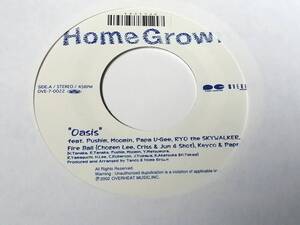 新品 ジャパレゲ史上最大歴史的名曲 HOME GROWN 「OASIS」インスト収録 1stプレス PUSHIM MOOMIN RYO the SKYWALKER FIRE BALL Keyco 