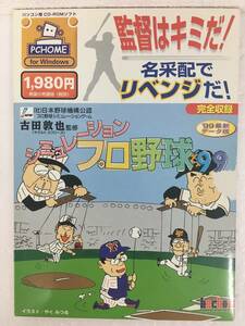 *0A106 Windows 98/95 simulation Professional Baseball *990*