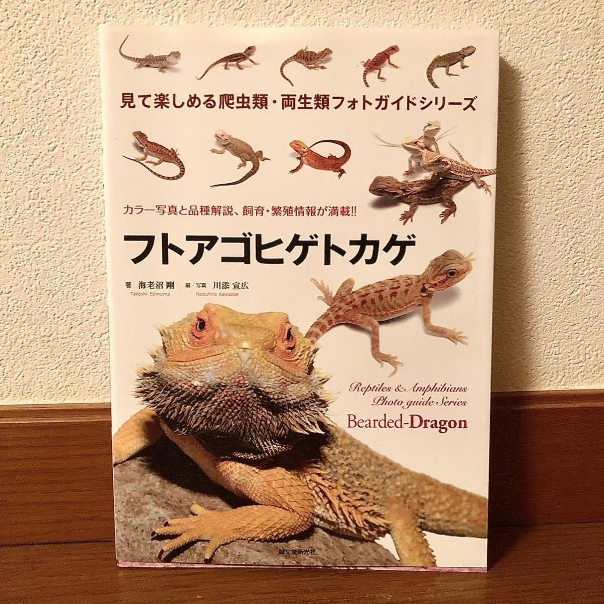 世界の 爬虫類 飼育用品 フトアゴヒゲトカゲ バラ売りなし 爬虫類