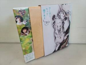 仙台市～美品！小泉今日子/グーグーだって猫である/見るとハッピーになれる/DVD2枚組/特典映像/仙台リサイクルショップ