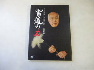 S3Dω 初版本『書道の力』楽しみながら書く、もっと自分らしい字　金田石城　日東書院本社　平成23年