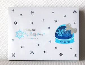 【初回限定盤DVD】Kis-My-Ft2『SNOW DOMEの約束』　　　s1390a