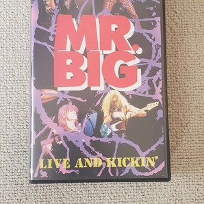 Mr.BIG　VHS　年代物