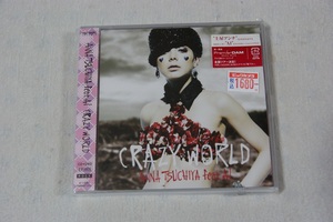 Crazy World 土屋アンナ CD+DVD　新品