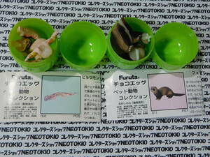 Furuta チョコエッグ ペット動物コレクション フィギュア・ヒョウモントカゲモドキ&フェレット 2種セット D