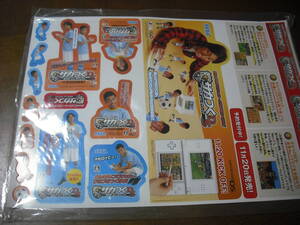 ゲームソフトそのものではありません。 SEGA サカつくDS 店頭展示用ポップ 送料は別途です。 ナインティナイン