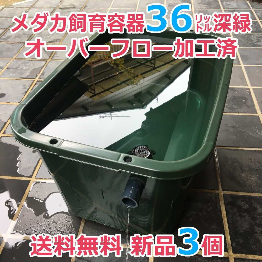 ☆メダカ飼育ケース3個 黒３５L オーバーフロー加工☆めだか容器タライ