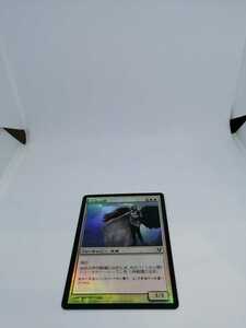 MTG 【JP】【Foil】《州民の声/Voice of the Provinces》[AVR] 白C