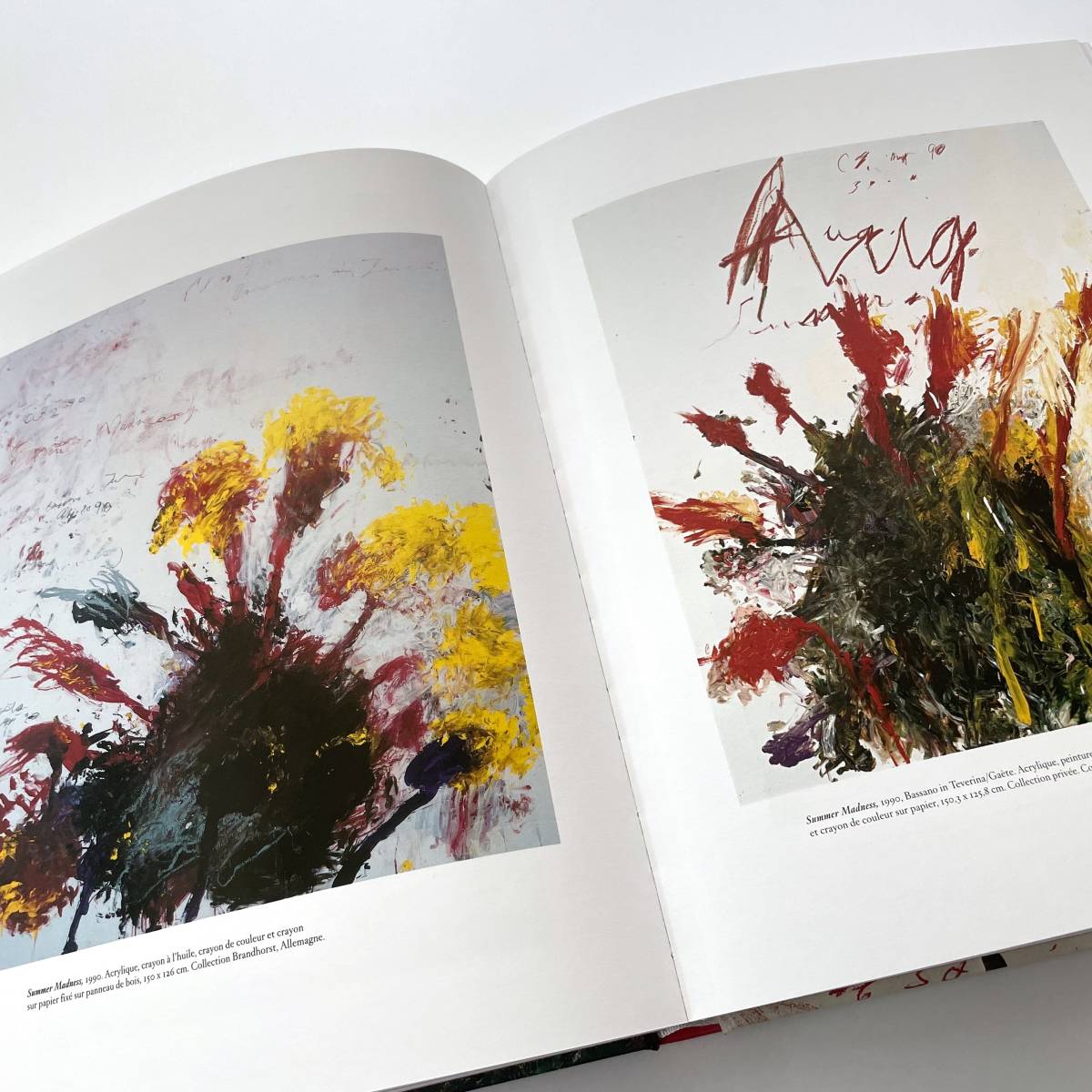 CY TWOMBLY 画集 写真集 作品集 Sous le signe d'Apollon et de