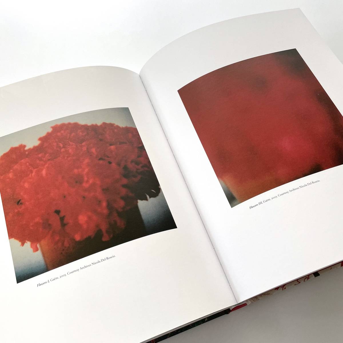 CY TWOMBLY 画集 写真集 作品集 Sous le signe d'Apollon et de