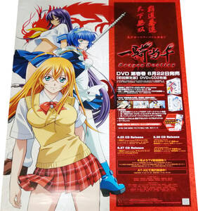 一騎当千 Dragon Destiny 2007年DVD発売告知B2ポスター 非売品 未使用 塩崎雄二 Ikkitousen