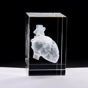 LHH1328★クリスタル3D心臓解剖モデル 心臓 ミニチュア インテリア クリスタル ハート 解剖学 医療 医学 3D オーナメント オブジェ 小物