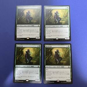 MTG/森の代言者/Sylvan Advocate/日本語/4枚