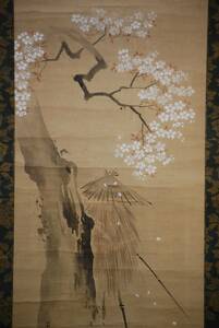 Art hand Auction [Genuine] // Eiichicho / Sakura Scarecrow / With special label / Hotei-ya hanging scroll HD-441, Painting, Japanese painting, Landscape, Wind and moon