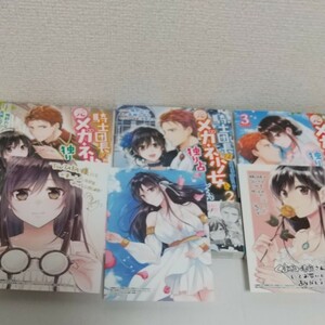 特典付き 騎士団長は元メガネ少女を独り占めしたい（ZERO－SUM COMICS） 鴨野 れな 全3巻 完結 