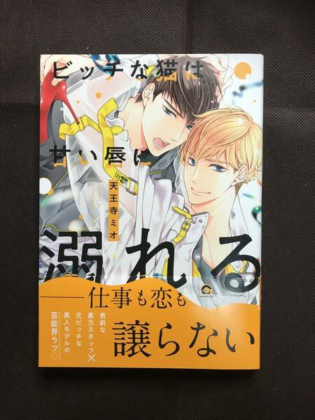 ビッチな猫は甘い唇に溺れる　2022年2月発行 天王寺ミオ
