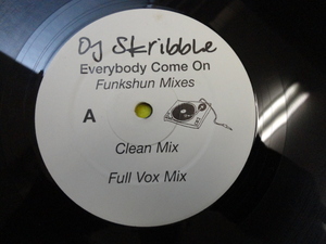 DJ Skribble - Everybody Come On レア FUNKSHUN REMIX 収録 12 MUST BE THE MUSIC 収録　視聴