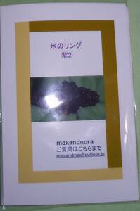 noraandmax のビーズキット　氷のリング　紫2　画像の転用・転載は禁止です。noraandmaxヤフオク様出品中