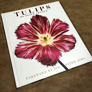 洋書 大型 豪華写真集◆TULIPS By PETER ARNOLD チューリップ ボタニカルアート フラワー写真集