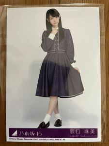 乃木坂46 逃げ水 特典生写真 阪口珠美 ヒキ