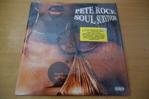 R7-294＜2枚組LP/US盤/美盤＞Pete Rock / Soul Survivor