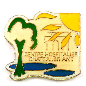  pin badge * sun . green. tree . water side * France limitation pin z* rare . Vintage thing pin bachi