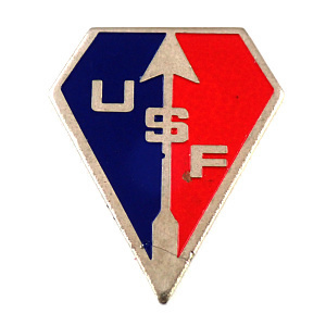  pin badge * archery. arrow USF. chapter * France limitation pin z* rare . Vintage thing pin bachi