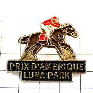 pin badge * America . France. horse racing * France limitation pin z* rare . Vintage thing pin bachi