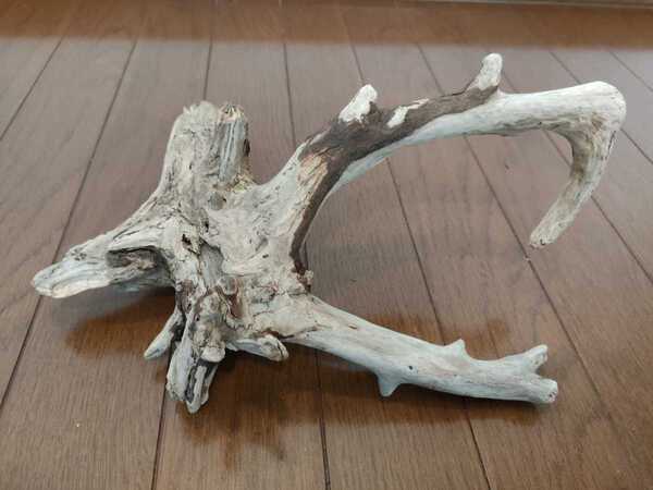 ☆天然流木 大和川 30×27×12.5cm 魚 めだか 爬虫類 ヘビ とかげ 隠れ家 水槽 アート インテリア アクアリウム ジオラマ
