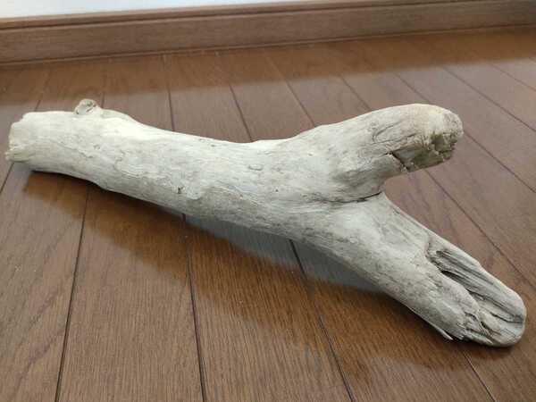 ☆天然流木 大和川 約43×7×14cm 魚 めだか 爬虫類 ヘビ とかげ 隠れ家 水槽 アート インテリア アクアリウム ジオラマ