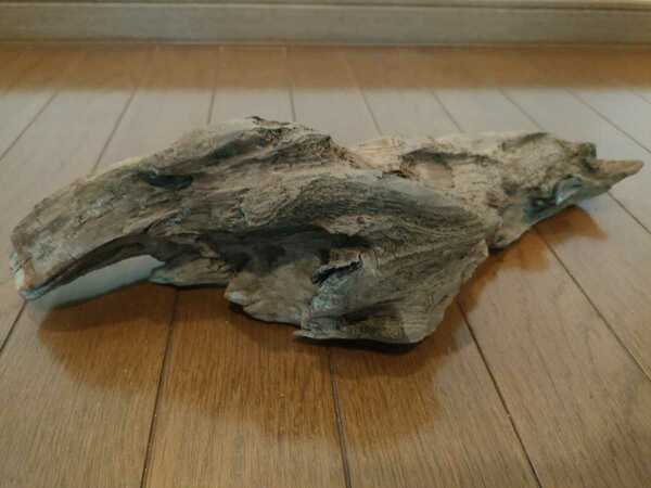 ☆天然流木　大和川　39×13×12cm 魚　めだか　爬虫類　ヘビ　とかげ　隠れ家　水槽 １点物 アート インテリア アクアリウム　ジオラマ