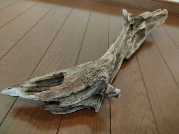 ☆天然流木 水槽 1点物 アクアリウム オブジェ アート 53×14×8cm 大和川 爬虫類 とかげ ヘビ インテリア 魚 めだか 隠れ家