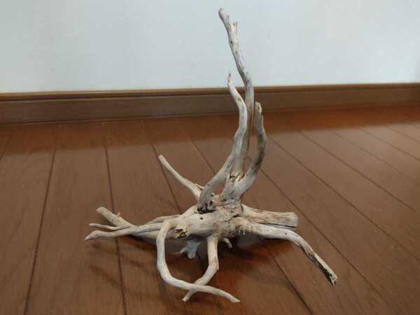 ☆天然流木 水槽 1点物 アクアリウム オブジェ アート 21×25.5×14.5cm 大和川 爬虫類 とかげ ヘビ インテリア 魚 めだか 根 隠れ家