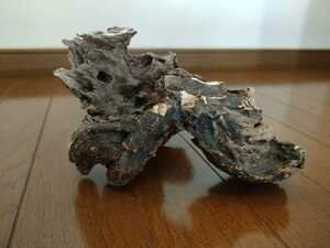 * natural driftwood aquarium 1 point thing aquarium 18×15×11.5cm Yamato river reptiles and . snake medaka .. house 5 point and more. successful bid . half-price sale 