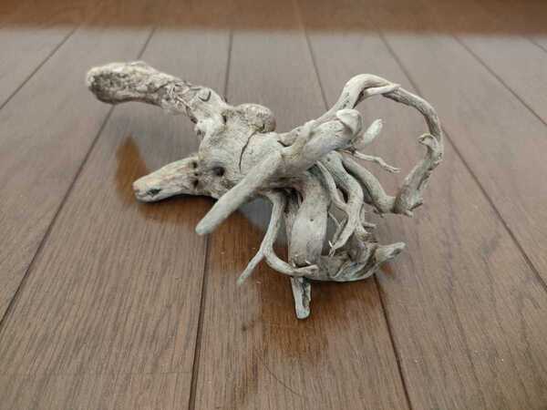 ☆天然流木 水槽 1点物 アクアリウム オブジェ アート 21×8×10cm 大和川 爬虫類 とかげ ヘビ インテリア 魚 めだか 根 隠れ家