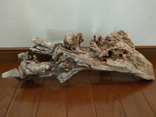 ☆天然流木 水槽 1点物 アクアリウム オブジェ アート 47×16.5×12cm 大和川 爬虫類 トカゲ ヘビ インテリア 魚 めだか 隠れ家