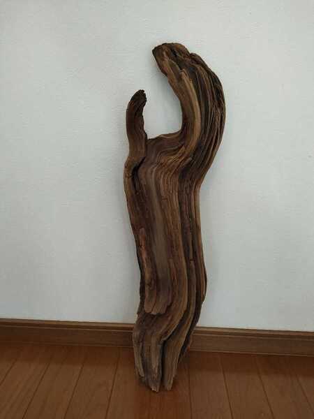 ☆天然流木 水槽 1点物 アクアリウム オブジェ アート 64×17×11.5cm 大和川 爬虫類 とかげ ヘビ インテリア 魚 めだか 隠れ家