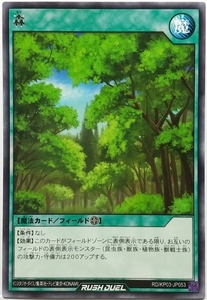 遊戯王ラッシュデュエル RD/KP03-JP053 森（レア） ３枚セット