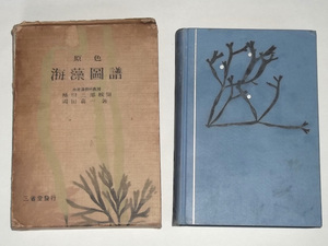  Showa era 9 year . color seaweed map . hill rice field . one three .. war front seaweed . kind illustrated reference book seaweed agar-agar . cloth made structure 