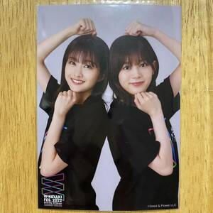 櫻坂46 尾関梨香 欅坂46ランダム 生写真 シークレット チュウ 1枚 検) 会場 販売 W-KEYAKI FES.2022 富士急ハイランド コニファー