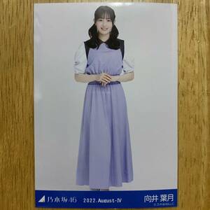 乃木坂46 向井葉月 ストライプ 生写真 ヒキ 1枚 検) 会場 限定 真夏の全国ツアー2022 東京 明治神宮