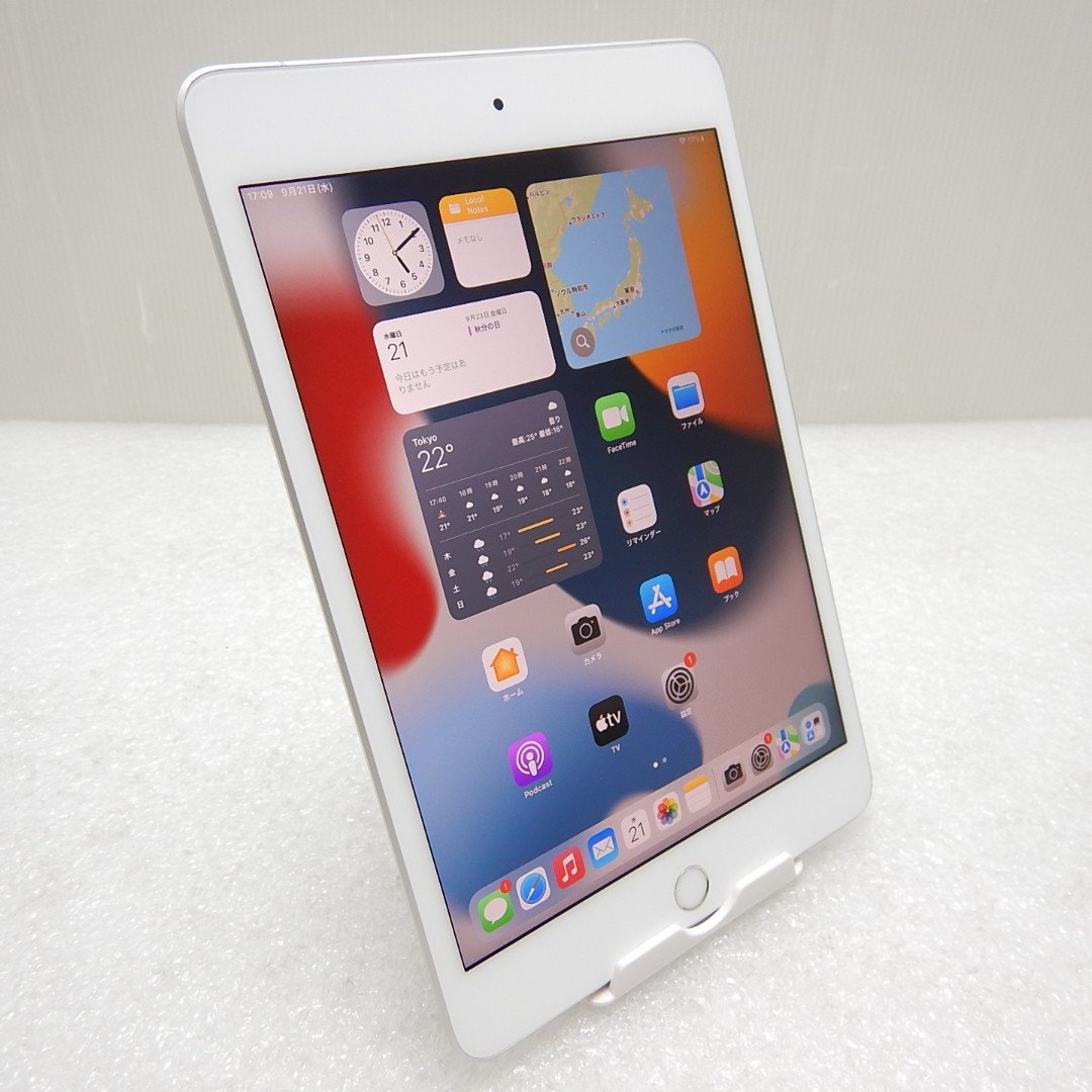 iPad mini 第5世代 256GB SIMフリー www.merkeziklinika.az