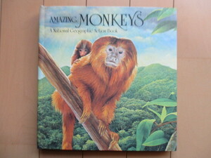 [ книга с картинками для маленьких * pop up книга с картинками ][Amazing Monkeys A National Geographic Action Book] National Geographic Society 1985 год / иностранная книга 